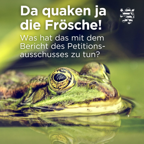 Instagram Petitionen 2025