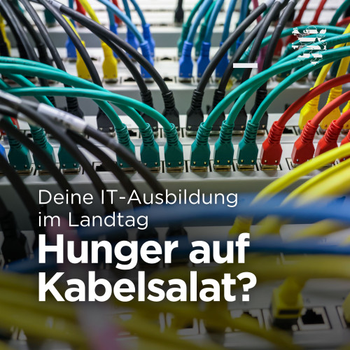 Viele bunte Kabel sind im Bild zu sehen. Der Schriftzug "Deine IT-Ausbildung im Landtag. Hunger auf Kabelsalat?" ist zu lesen.