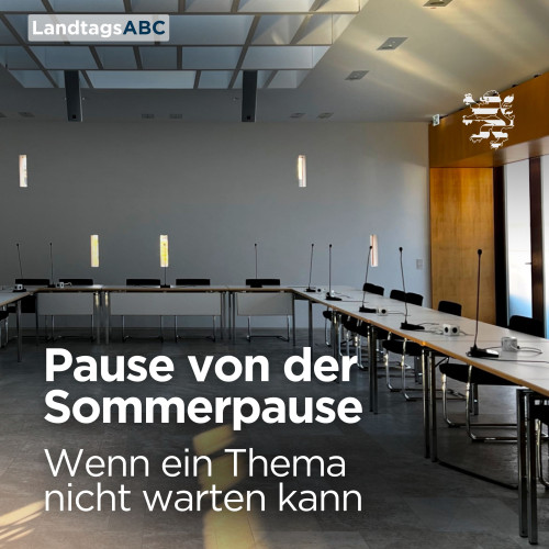 Ein Sitzungssaal im Landtag ist zu sehen. Auf den Tischen, die im Quadrat angeordnet sind, befinden sich Mikrofone. Sonnenstrahlen scheinen durchs Fenster auf der rechten Bildseite. Der Schriftzug "Pause von der Sommerpause. Wenn ein Thema nicht warten kann" ist zu lesen.