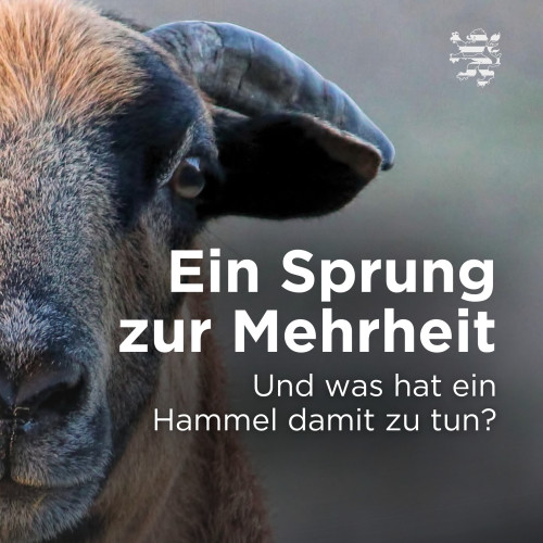 Ein Hammel ist im Bild zu sehen. Ebenfalls angezeigt wird der Schriftzug "Ein Sprung zur Mehrheit. Und was hat ein Hammel damit zu tun?".