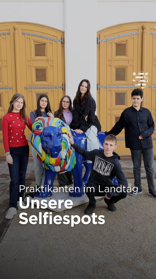 YTShorts Praktikantenselfiespots