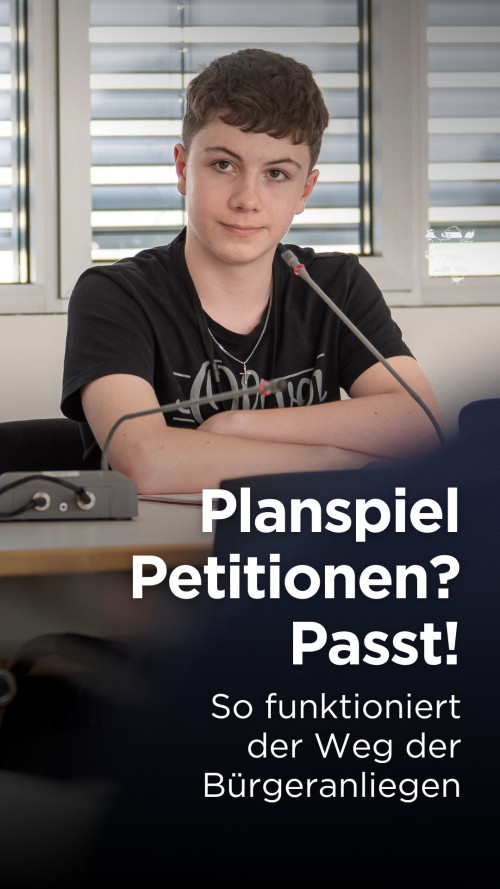 YT Shorts Planspiel Petitionen