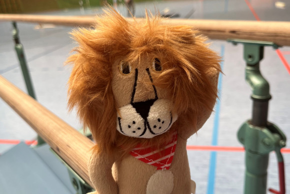 Ein Plüsch-Löwe sitzt auf einer Gymnastikstange