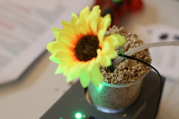 Blume