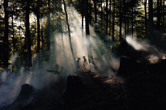 sieger_umwelt_und_klima_waldbrand_am_grossen_zacken_ben_kilb.jpg Lichteinfall im Wald