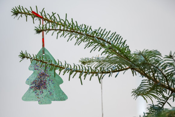 Weihnachtsbaum 2025 Zweig