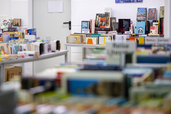 Tag des Ehrenamts Bücherbasar Buchauswahl