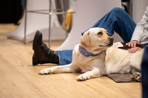 Bärenherz Familienzentrum Hund