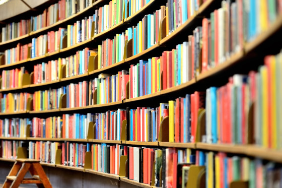 Bücher in Bibliotheksregalen