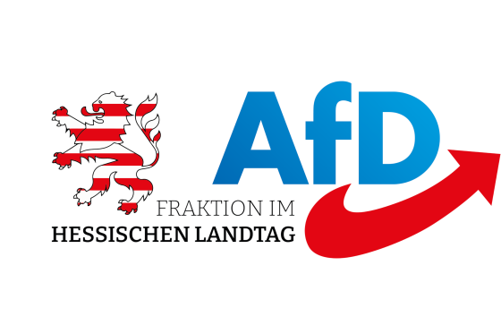 Logo AfD Fraktiom