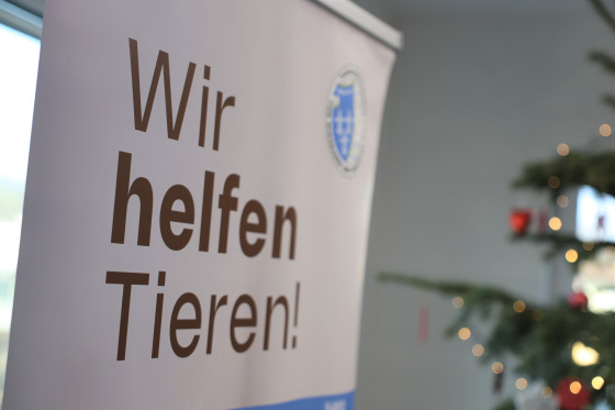 Banner "Wir helfen Tiere"