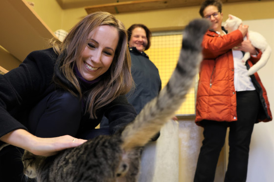 Landtagspräsidentin streichelt Katze