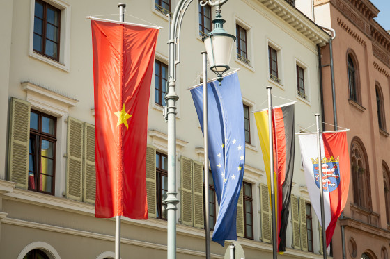 Flagge Vietnam