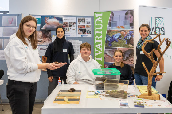 MINT Messe 2025 Bad Hersfeld Modellschule