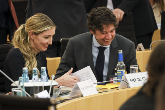 Anzuhörende Experten