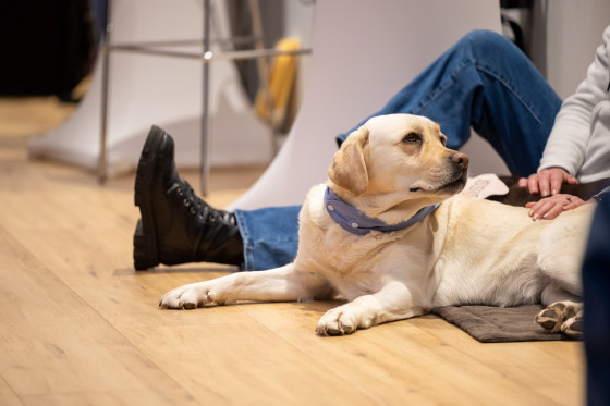 Bärenherz Familienzentrum Hund