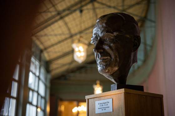 Büste Georg-August Zinn im Wintergarten