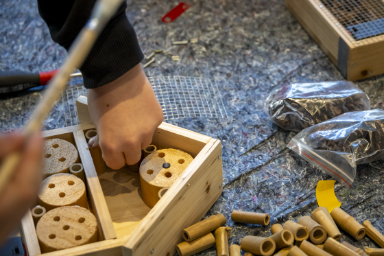 Girls' und Boys' Day 2026 im Hessischen Landtag