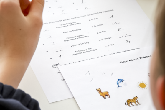 Girls' und Boys' Day 2026 im Hessischen Landtag