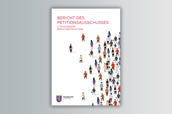 Bericht des Petitionsausschusses – 21. Wahlperiode, Berichtszeitraum 2025